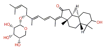3-O-Deacetyl-(13Z)-stelliferin riboside